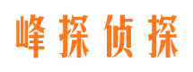 崆峒侦探公司